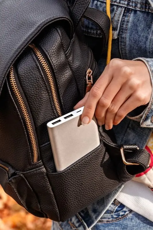 Универсальный внешний аккумулятор Xiaomi 2S 10000mAh (Silver) - 7