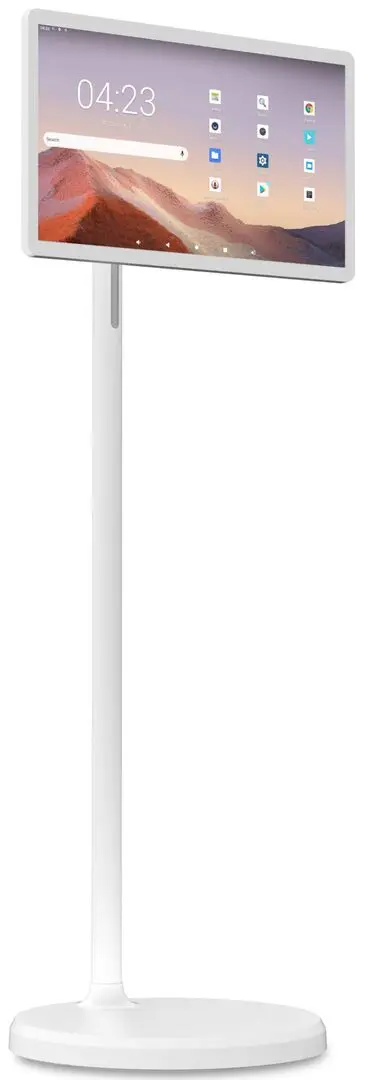 Интерактивный сенсорный дисплей EvoBoard SW2193T (White)