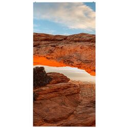 Информационный дисплей LG GSCA039 (Black)