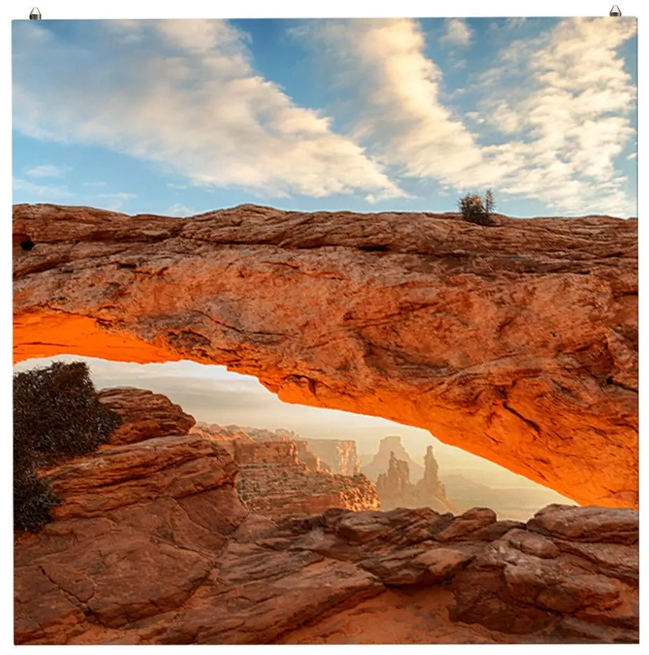 Информационный дисплей LG GSCA039 (Black)