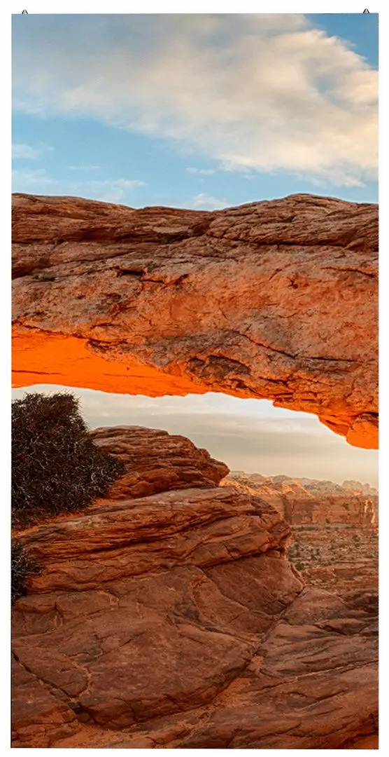 Информационный дисплей LG GSCA039 (Black)