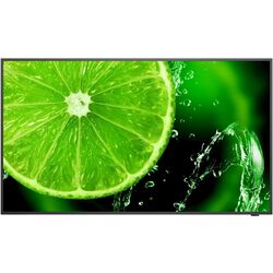 Panou informativ NEC 43