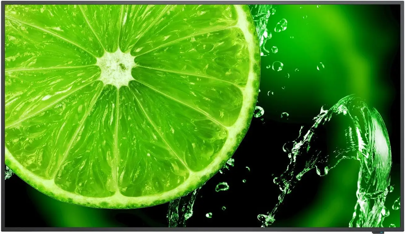 Panou informativ NEC 43