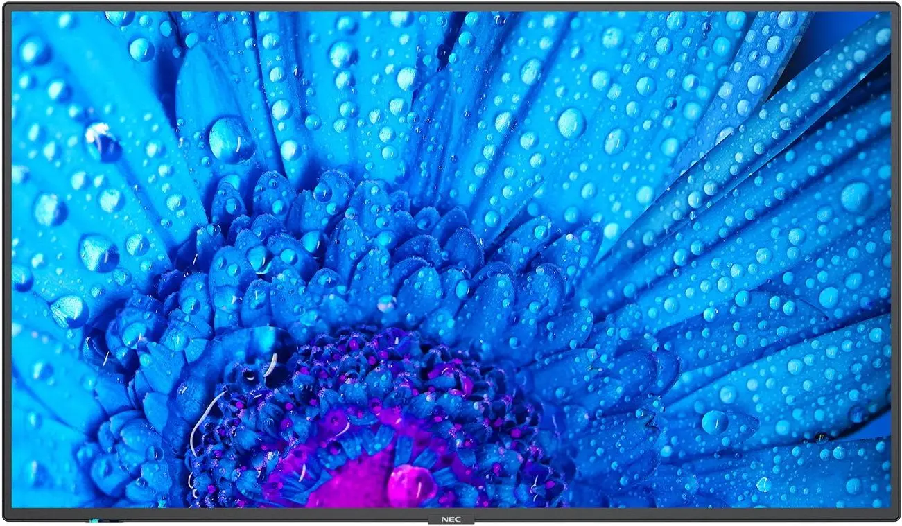 Panou Informativ NEC 43