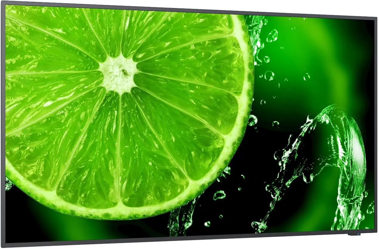 Информационный дисплей NEC MultiSync E328-2 32 (Black)