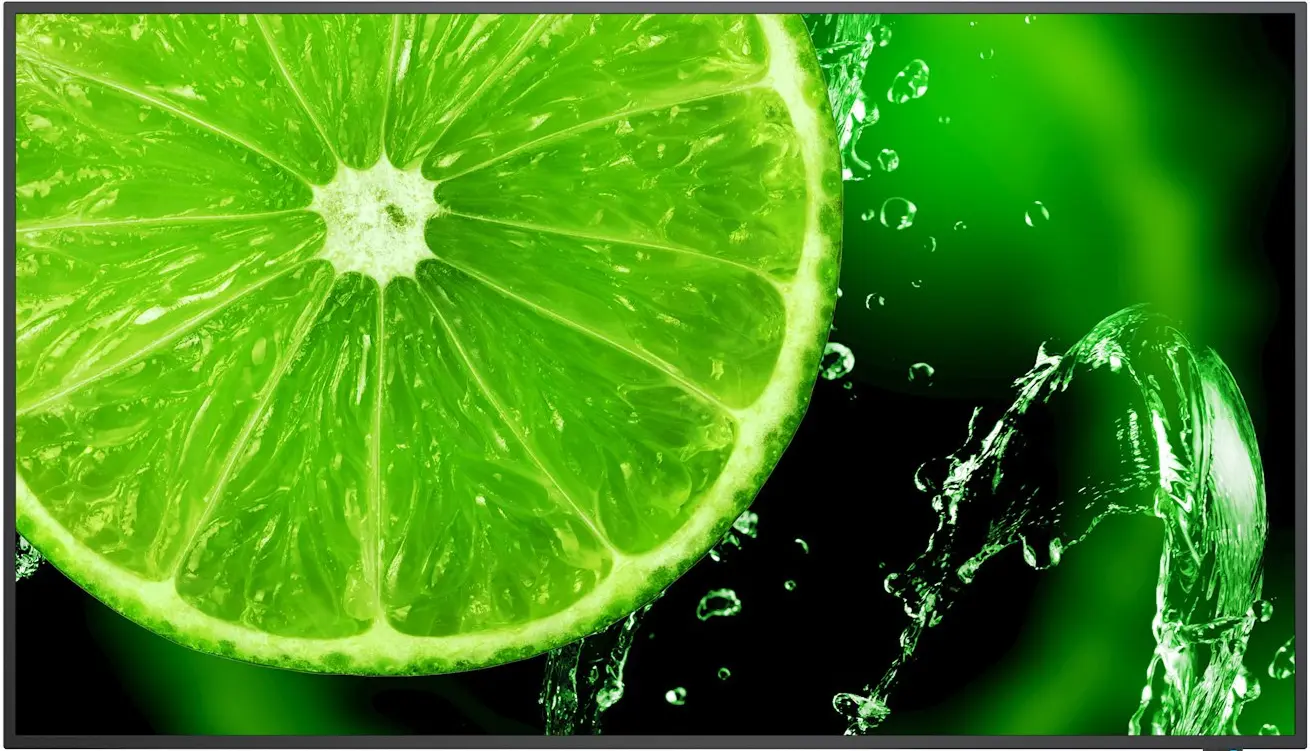 Информационный дисплей NEC MultiSync E328-2 32 (Black)