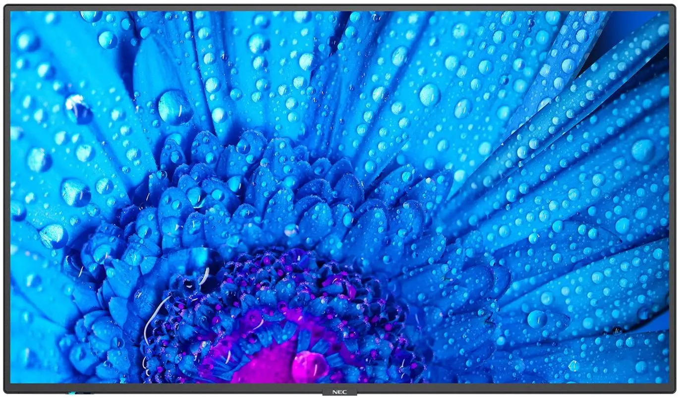 Информационный дисплей NEC MultiSync M651 (Black)