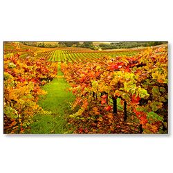 Профессиональный дисплей Nec MultiSync X554UN-2 (Black)