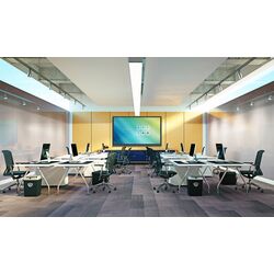 Интерактивный сенсорный дисплей Optoma 75