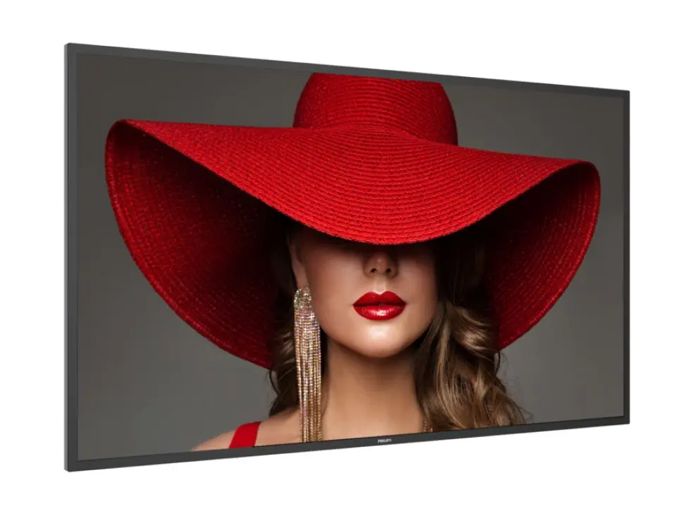 Информационный дисплей Philips 55BDL4650D (Black)