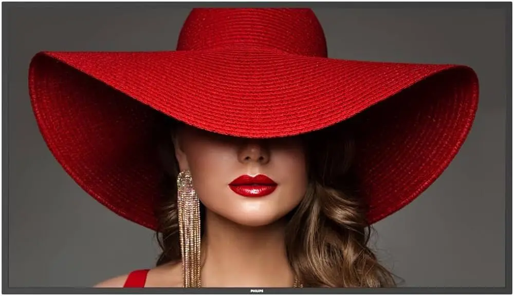 Информационный дисплей Philips 55BDL4650D (Black)