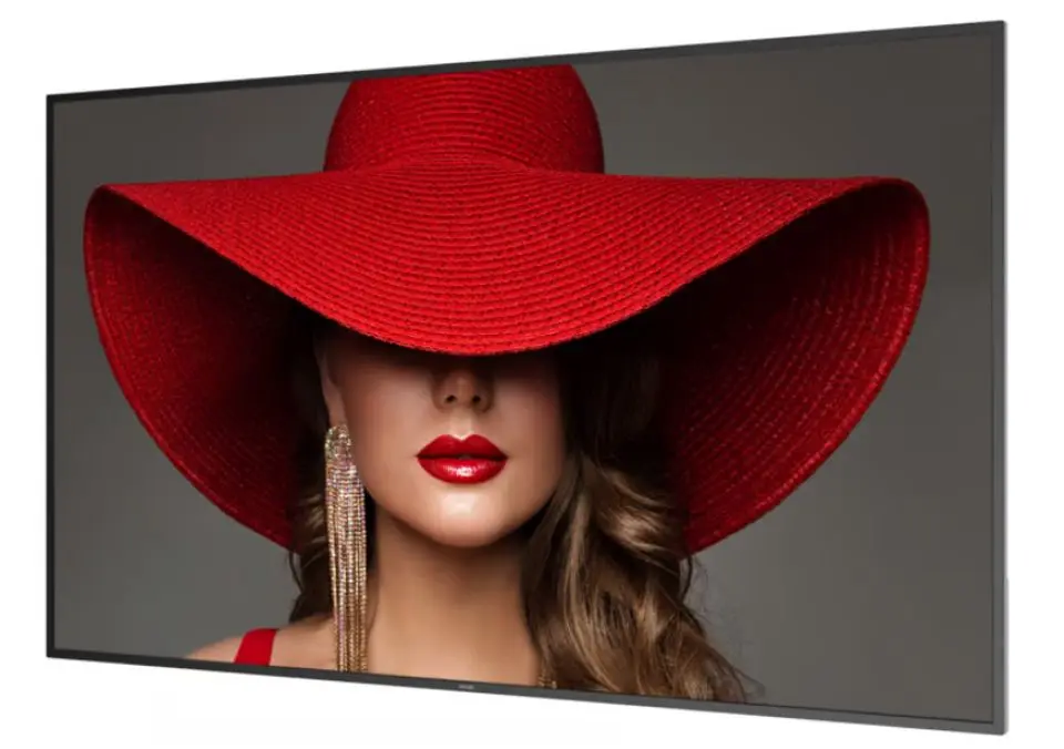 Информационный дисплей Philips 75BDL4650D (Black)