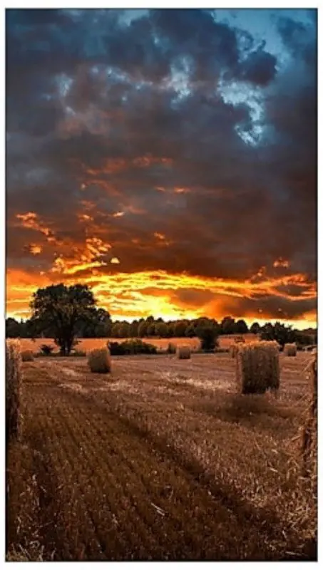 Panou informativ Samsung 46'' LH46VMBUBGBXEN (Black)