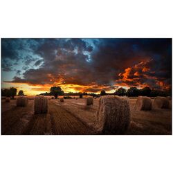 Информационный дисплей Samsung VM55B-U (Black)