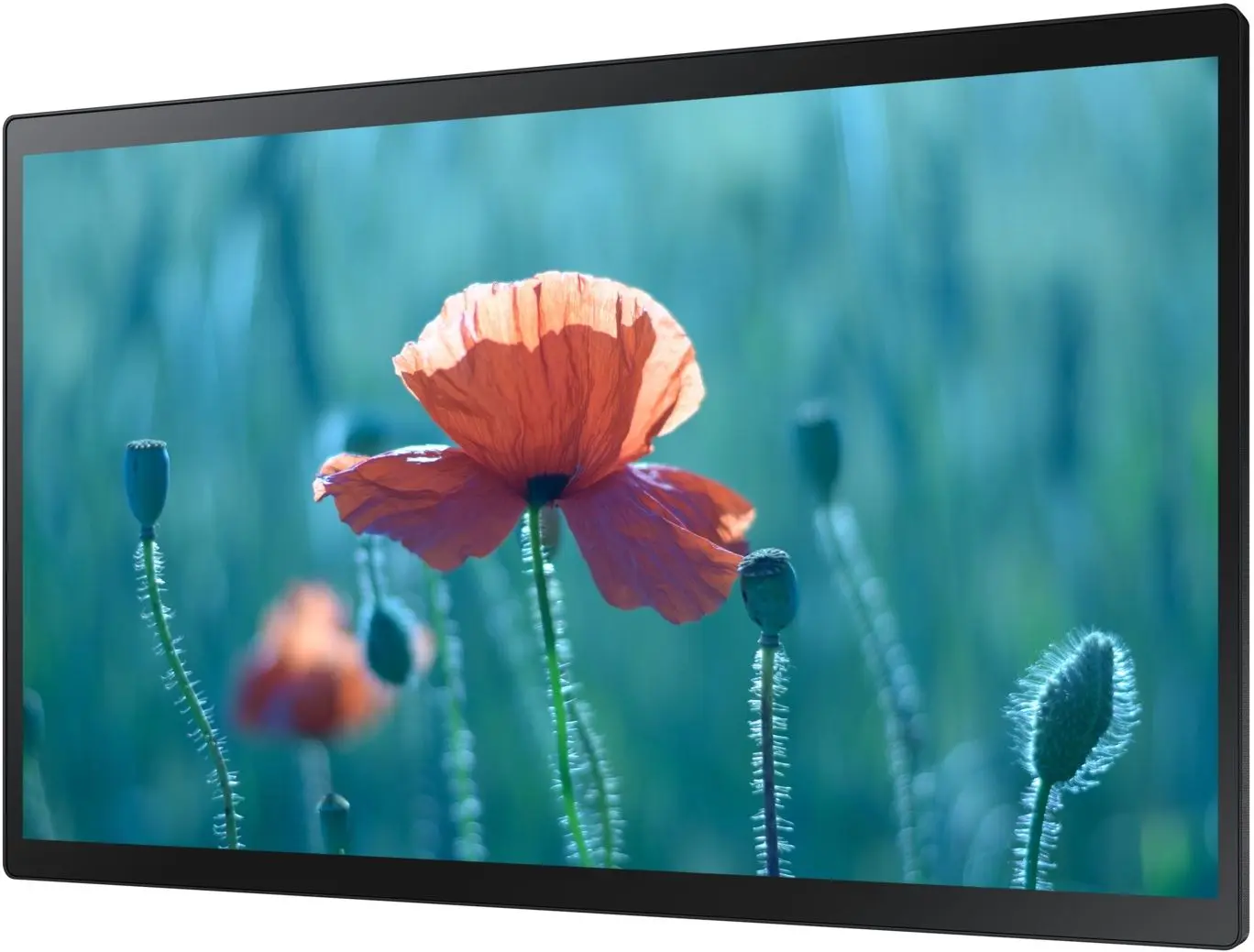 Display interactiv touchscreen Samsung 24