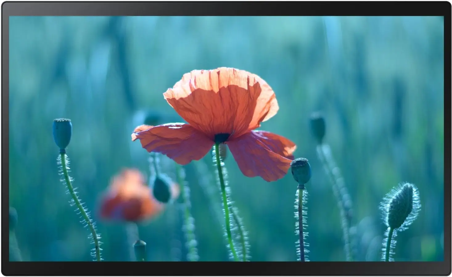 Display interactiv touchscreen Samsung 24