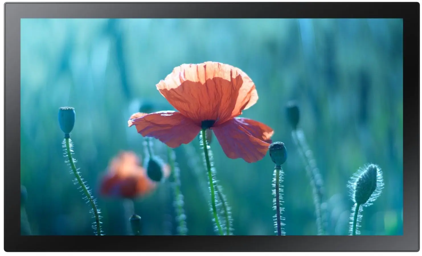 Display profesional Samsung 13