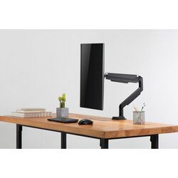 Кронштейн для монитора Digitus DA-90394 15