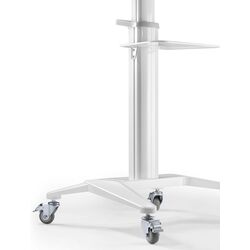 Suport pentru televizor Gembird TVS-70T-02-W (White) Thumb