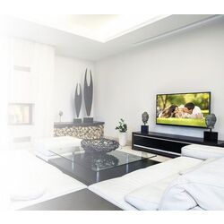 Suport pentru televizor GoGEN L GOGDRZAKFIXL2 32-55'' (Black) Thumb