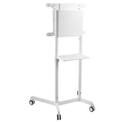 Suport pentru televizor NewStar NS-M1250 37