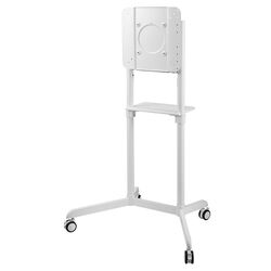 Кронштейн для телевизора NewStar NS-M1250 37