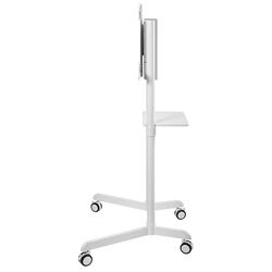 Suport pentru televizor NewStar NS-M1250 37