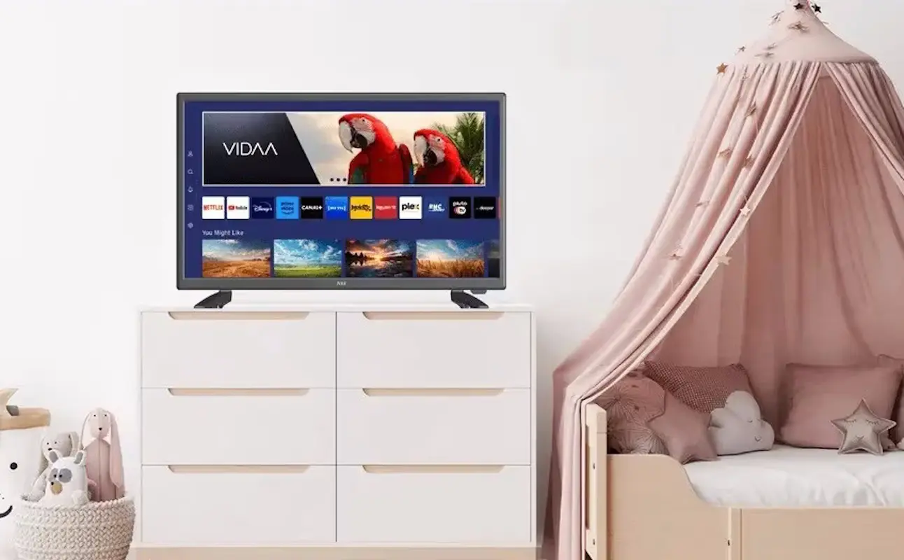 Телевизор NEI 24NE4900 LED HD Smart (Black)