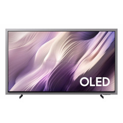 Televizor Samsung QE77S99HXUXUA OLED 4K AI Smart (Gray)