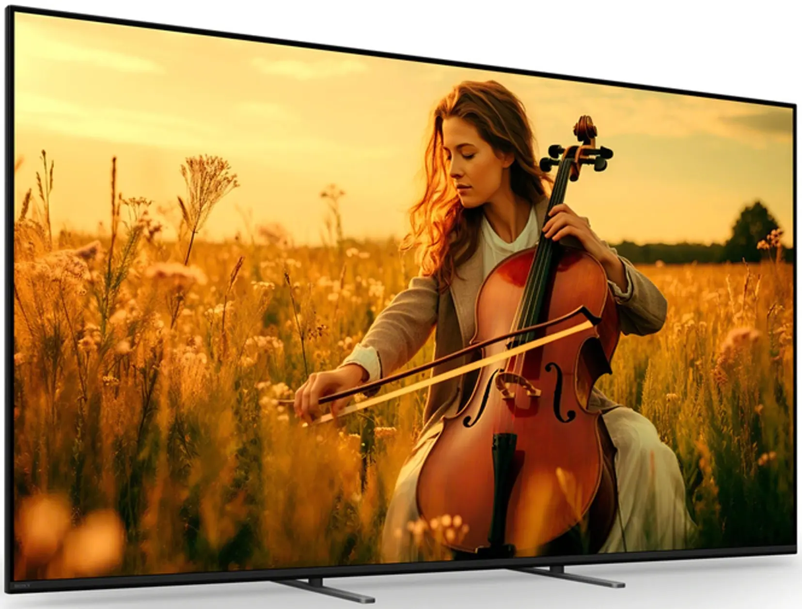 Телевизор Sony Bravia 5 K55XR55B LCD 4K Smart (Black)