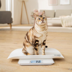 Весы для домашних животных Beurer Polly PP170 (White) Thumb