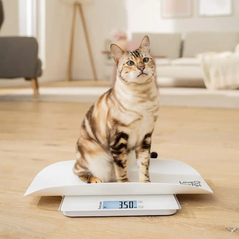 Весы для домашних животных Beurer Polly PP170 (White) - 2