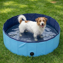 Piscina pentru caini MaxxPro 506642 (Blue) Thumb