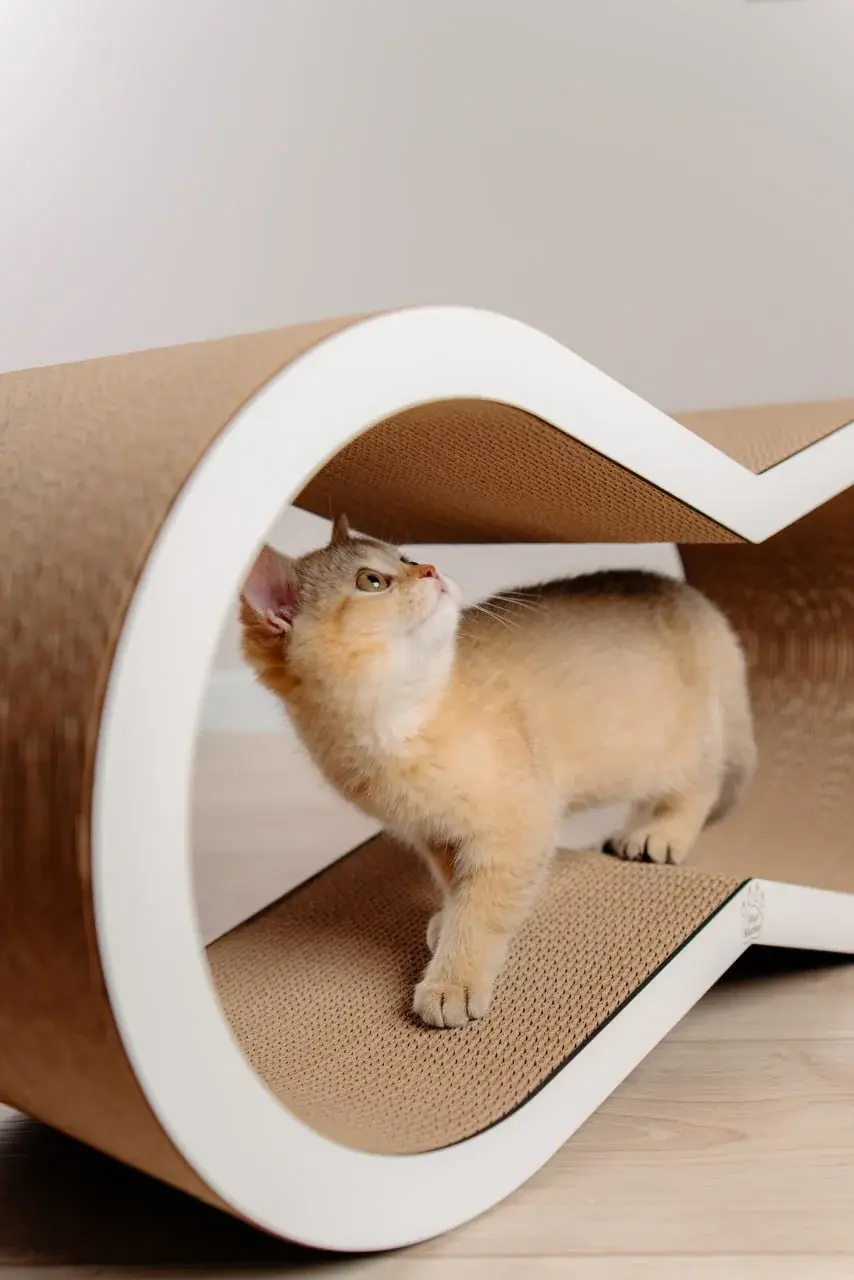 Когтеточка для кошек MurMarket Dream L (White/Brown) - 9