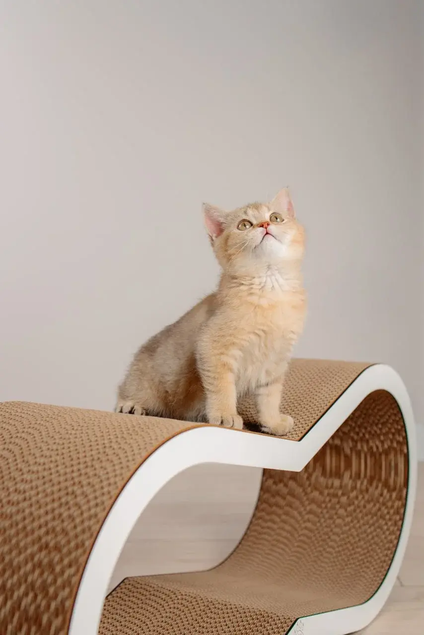 Когтеточка для кошек MurMarket Dream L (White/Brown) - 10