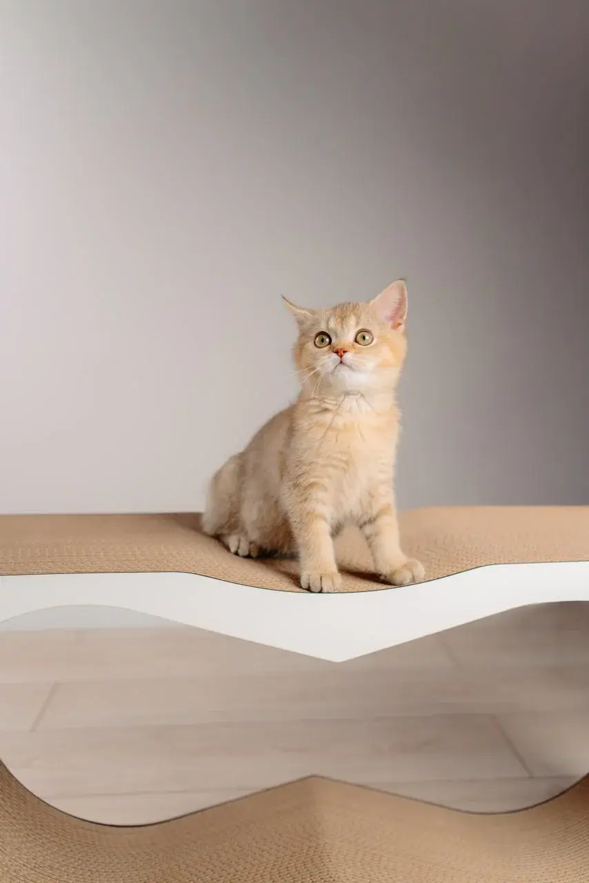 Когтеточка для кошек MurMarket Dream XL (White/Brown) - 2