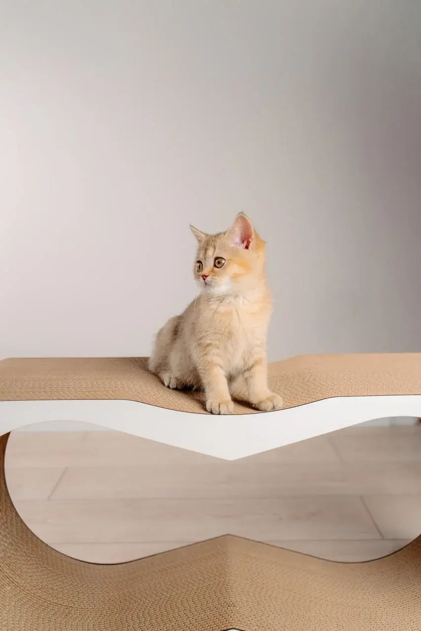 Когтеточка для кошек MurMarket Dream XL (White/Brown) - 3