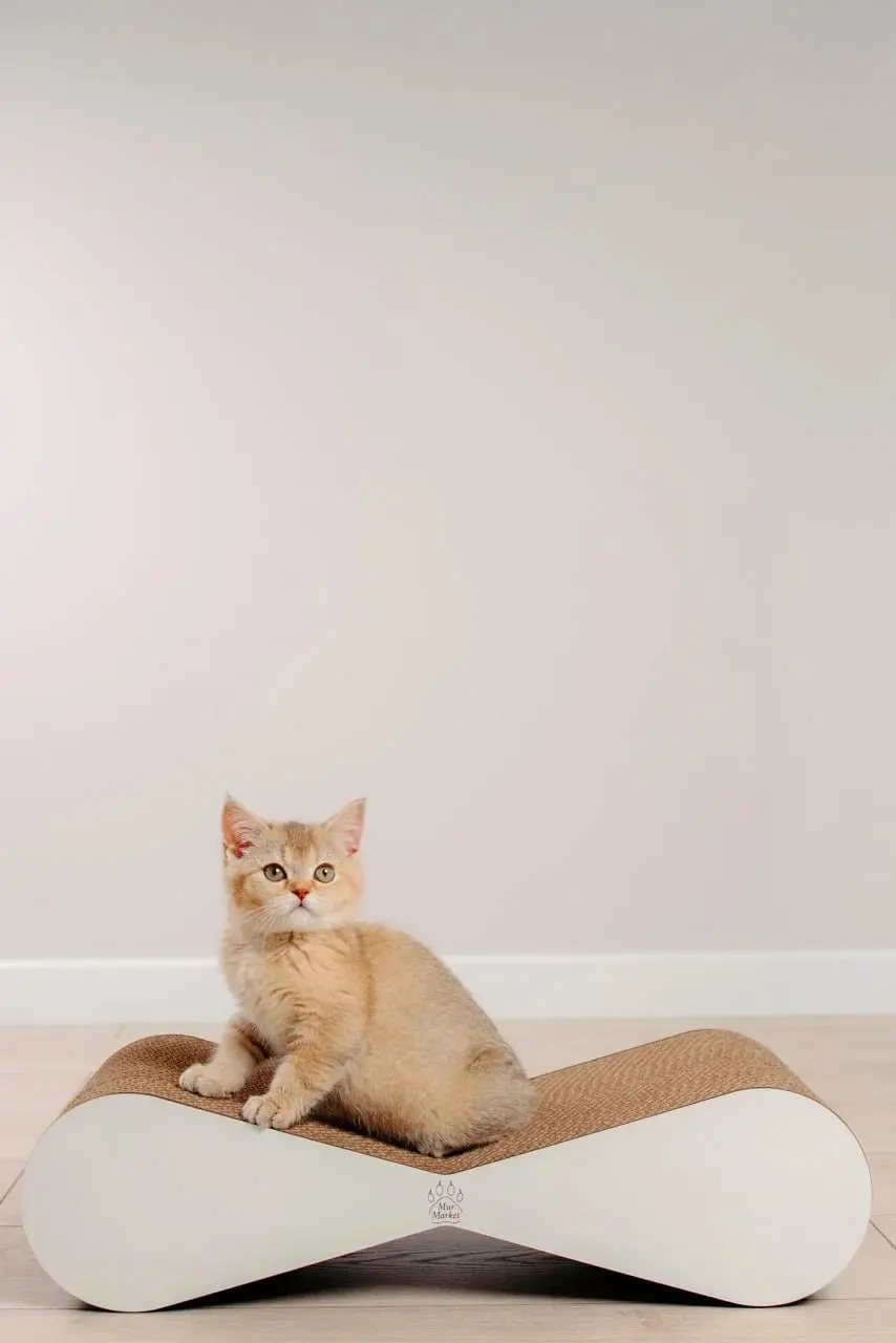 Zgarietoare pentru pisici MurMarket Tiny Tiger Mini (White/Brown) - 7