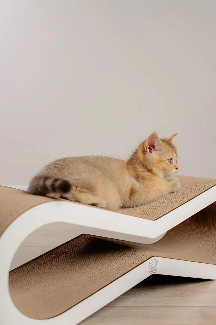 Когтеточка для кошек MurMarket Tiny Tiger S (White/Brown) - 9