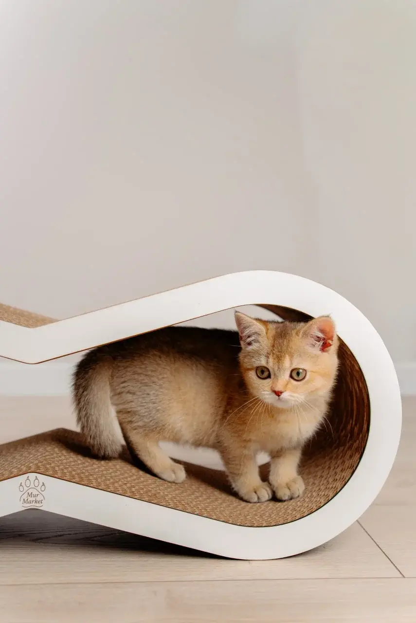 Когтеточка MurMarket Tiny Tiger M (White/Brown) - 4
