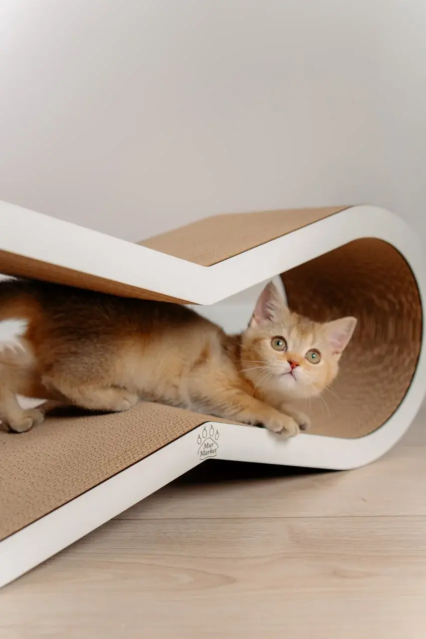 Когтеточка MurMarket Tiny Tiger M (White/Brown) - 5