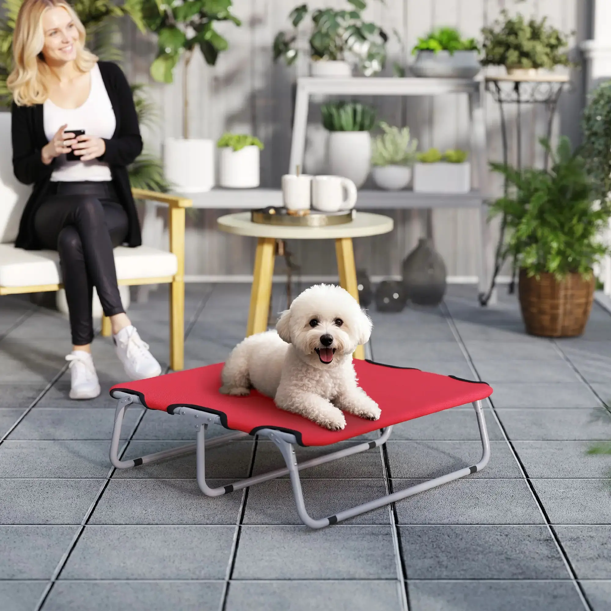 Pat pentru caini PawHut D04-102RD (Red) - 6