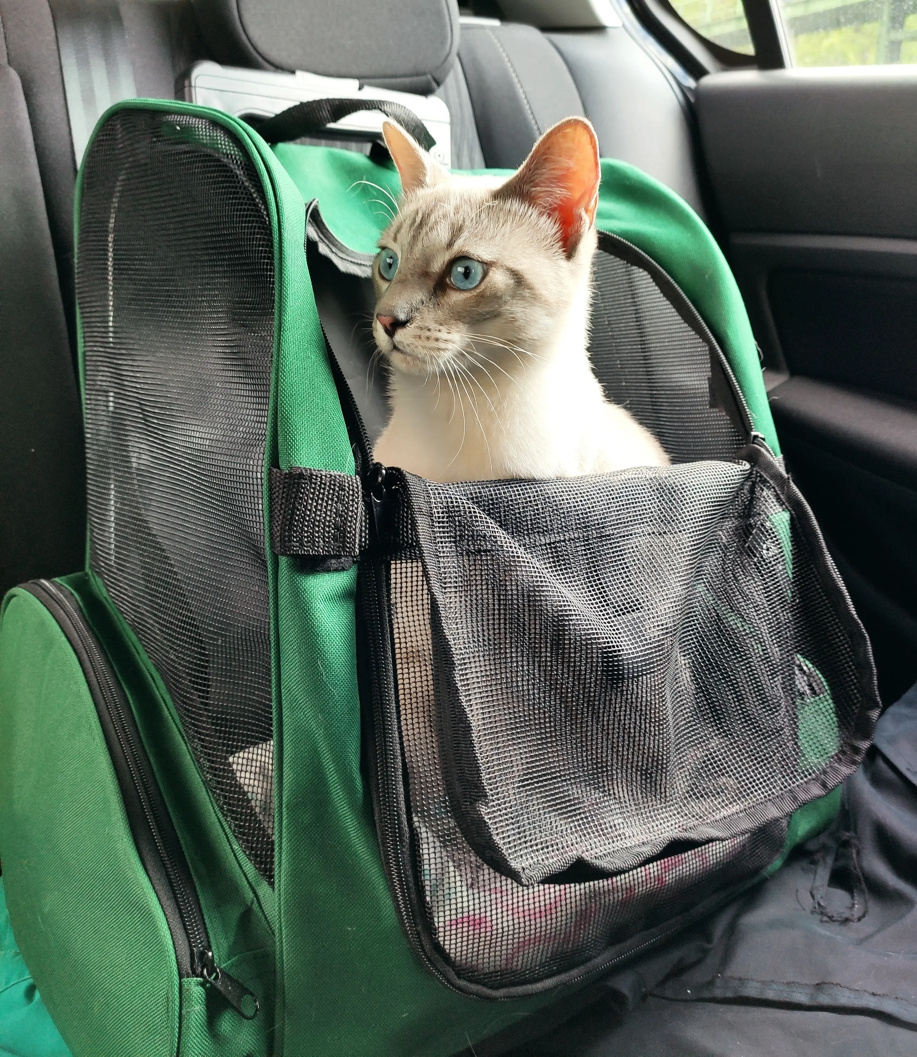 Rucsac-purtator pentru animale de companie PawHut D1-0013 (Green/Black) - 5