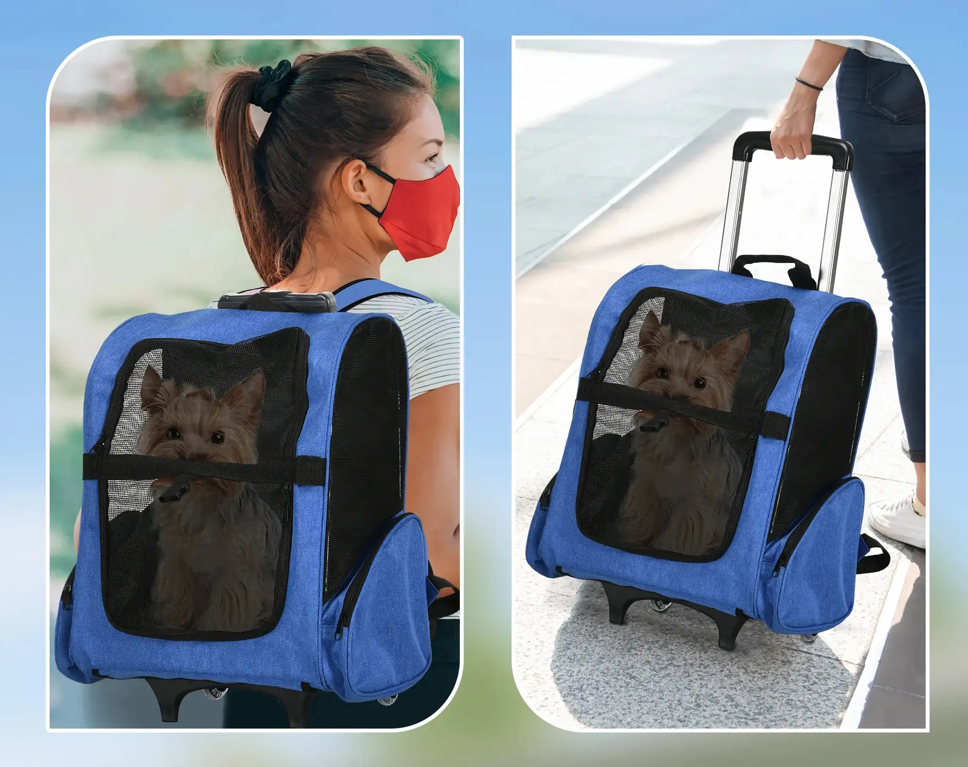 Рюкзак-переноска PawHut D00-136BU (Blue) - 6