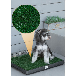 Туалет для собак PawHut D07-006 (Green/Black) Thumb