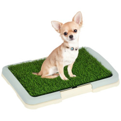 Туалет для собак PawHut D07-045V00LB (Blue-grey/Green)