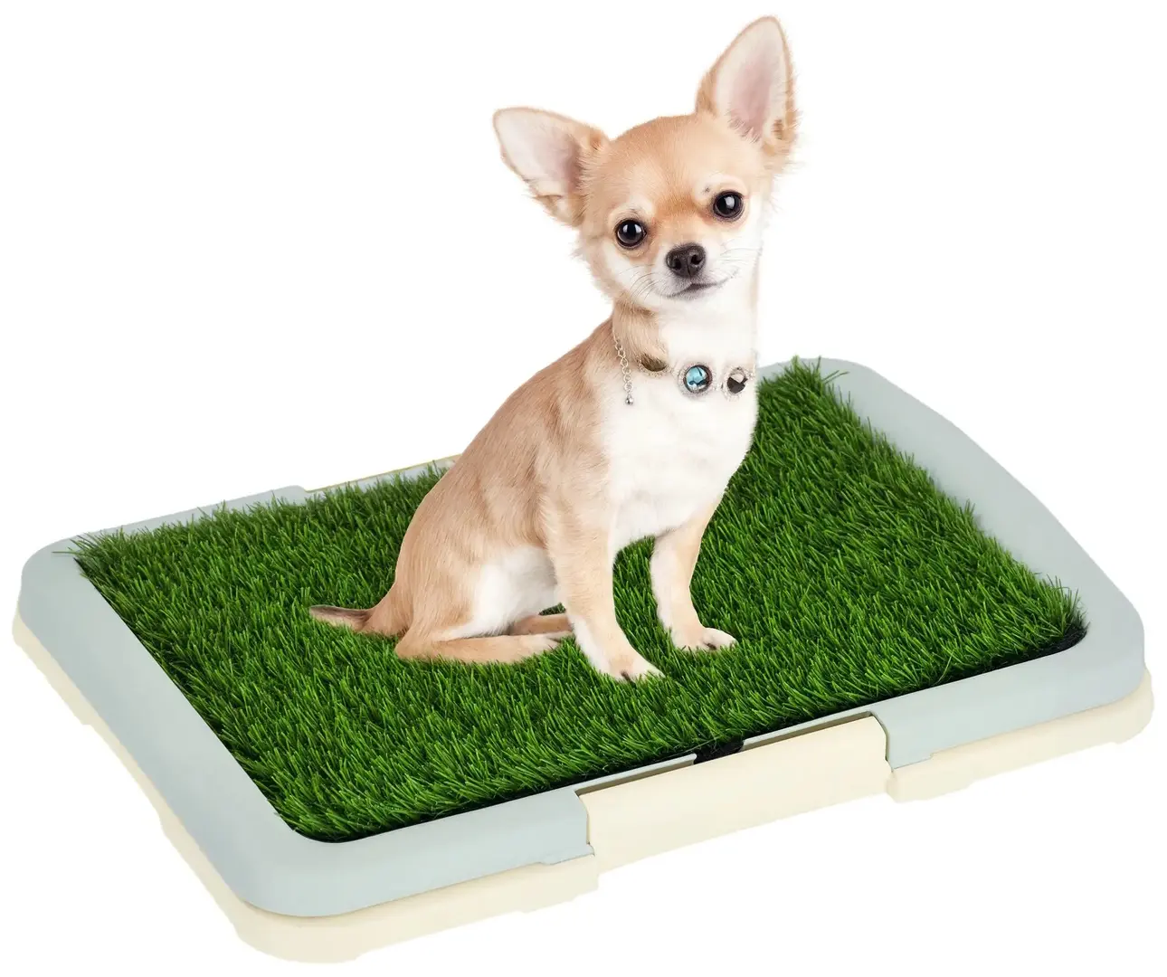 Туалет для собак PawHut D07-045V00LB (Blue-grey/Green)