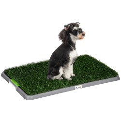 Toaleta pentru caini PawHut D07-049V00GN (Grey/Green)