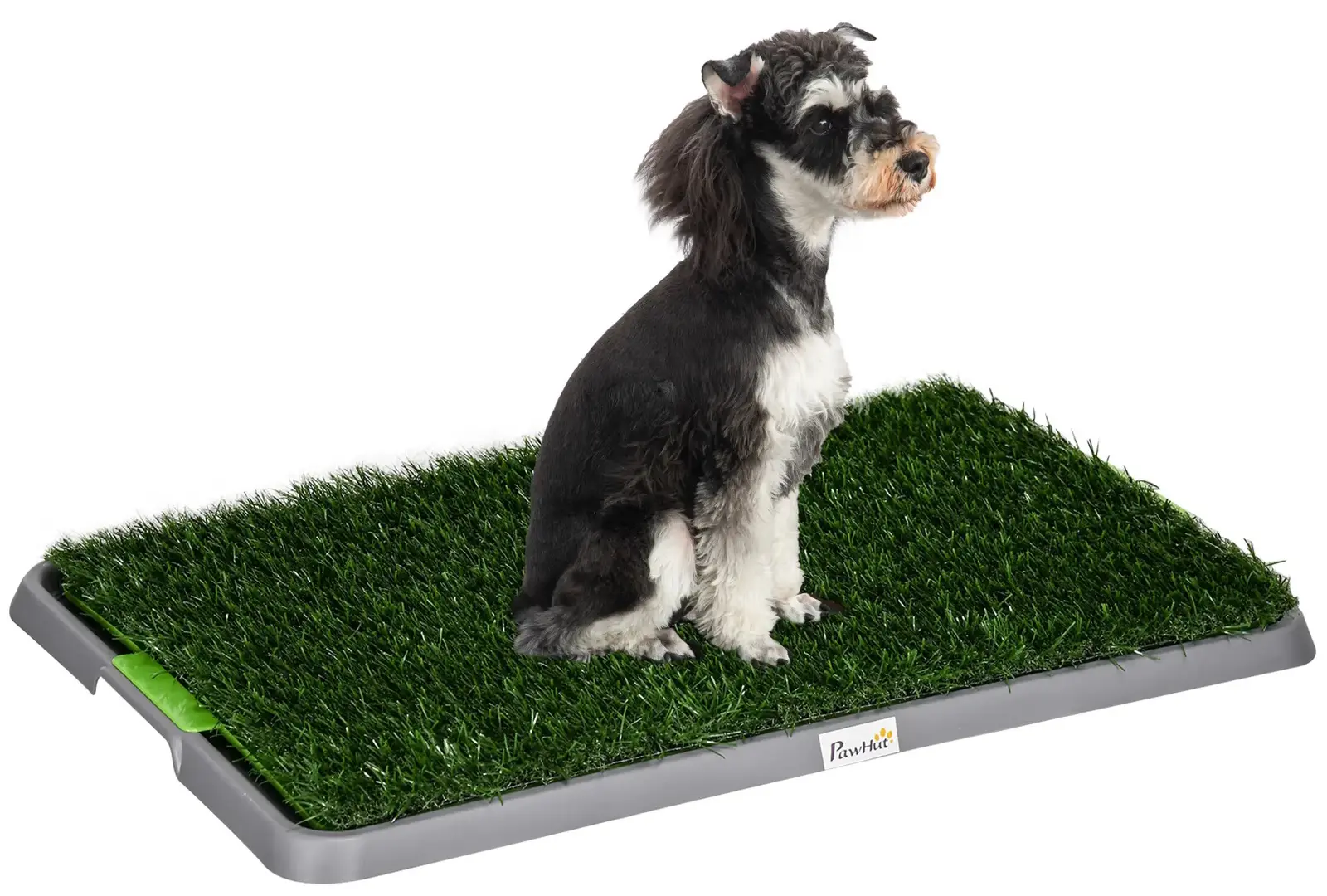 Toaleta pentru caini PawHut D07-049V00GN (Grey/Green)