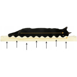 Лежак для животных Purlov 26915 M (Black) Thumb